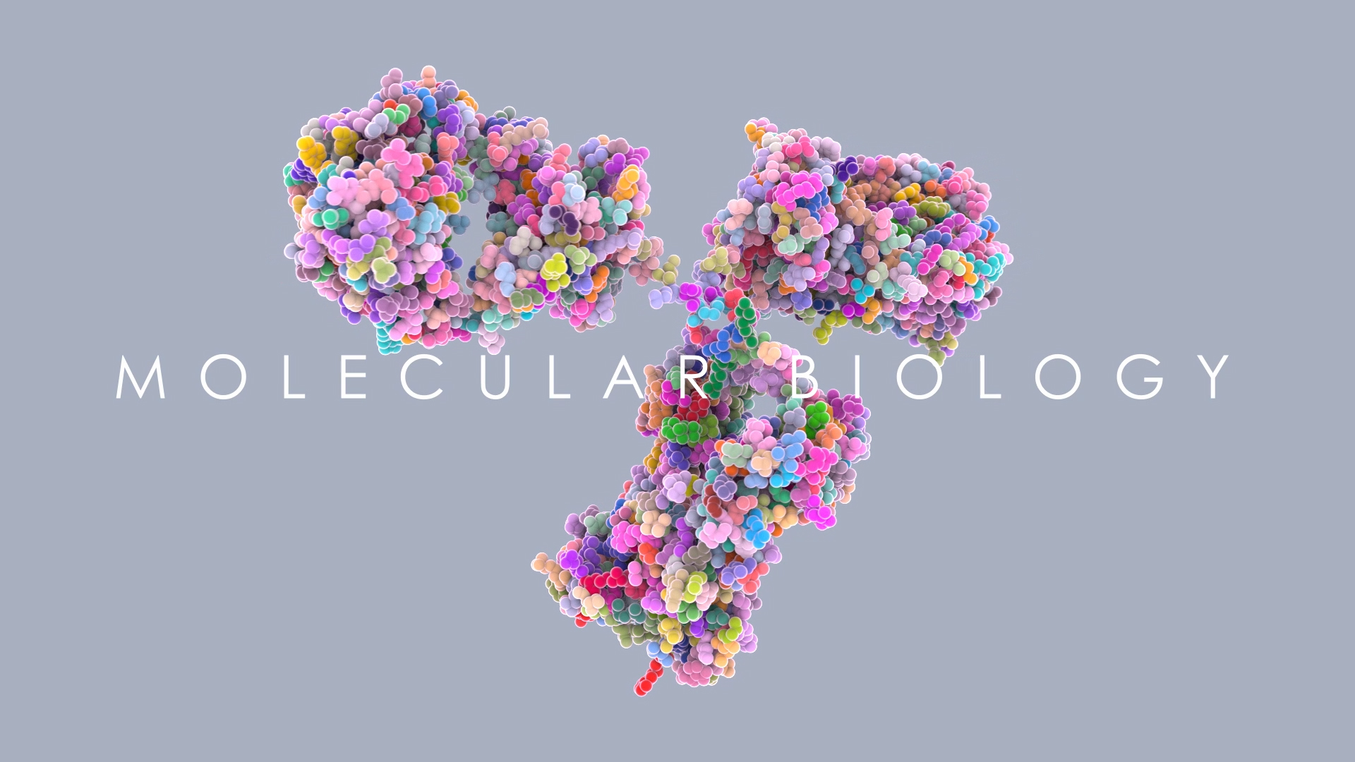 Новый резидент ИНТЦ «Сириус» – компания ООО «Сайнс ин Моушн»