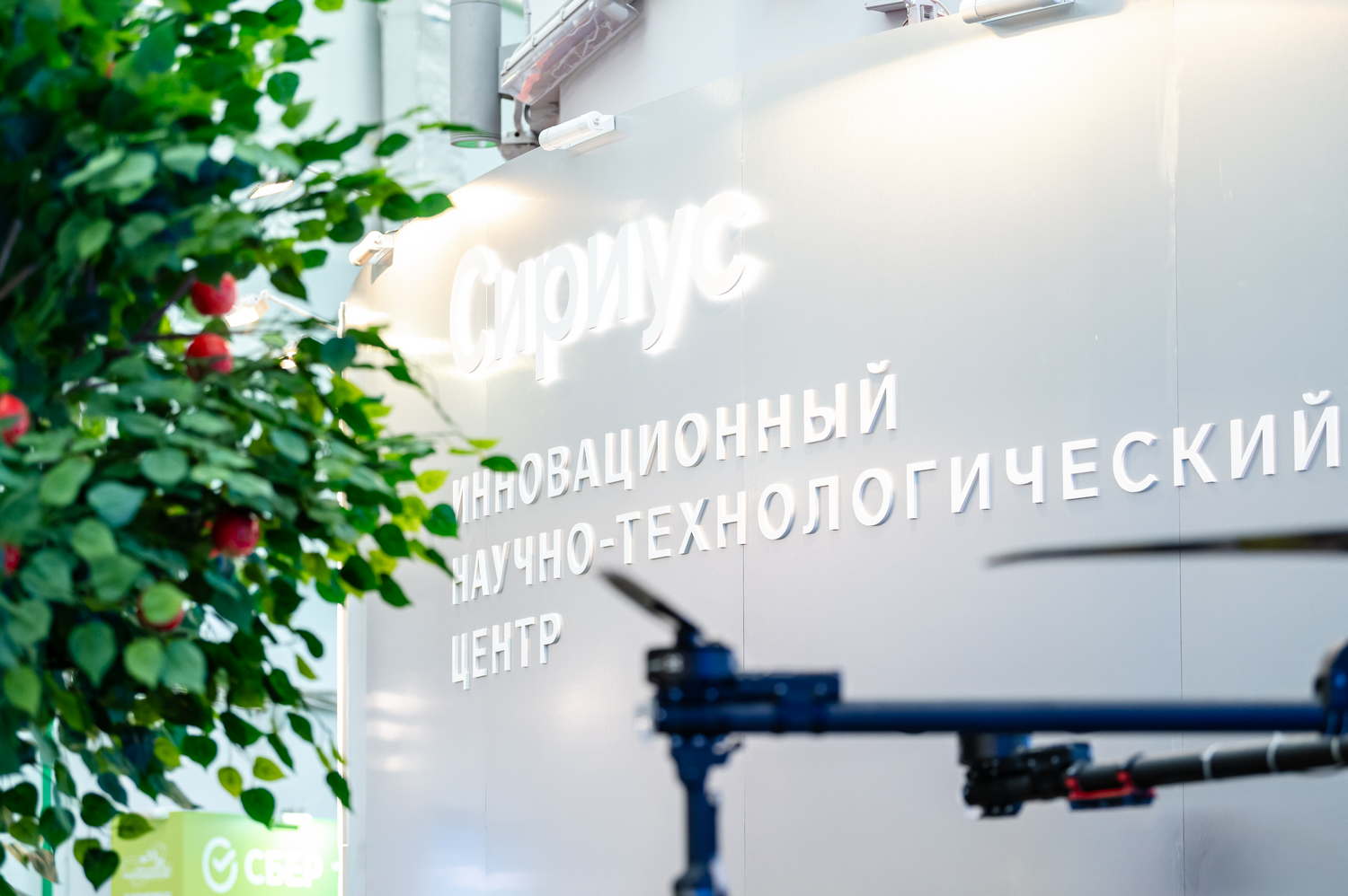Навигация без GPS и квантовые лаборатории: резиденты ИНТЦ «Сириус» получат 142,9 млн рублей