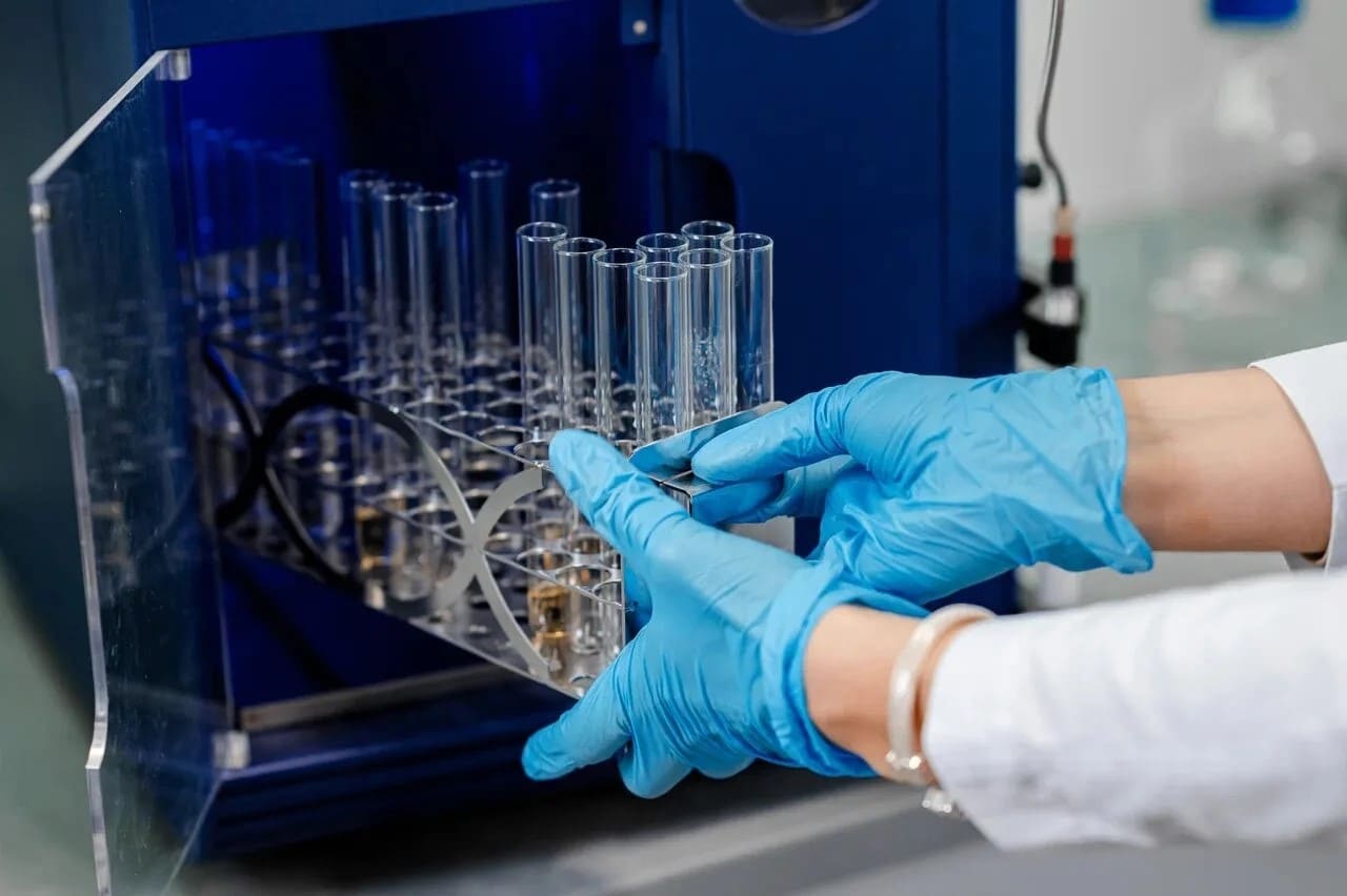 Компания из Сириуса создаёт пробиотик с вакцинным эффектом для ветеринарии