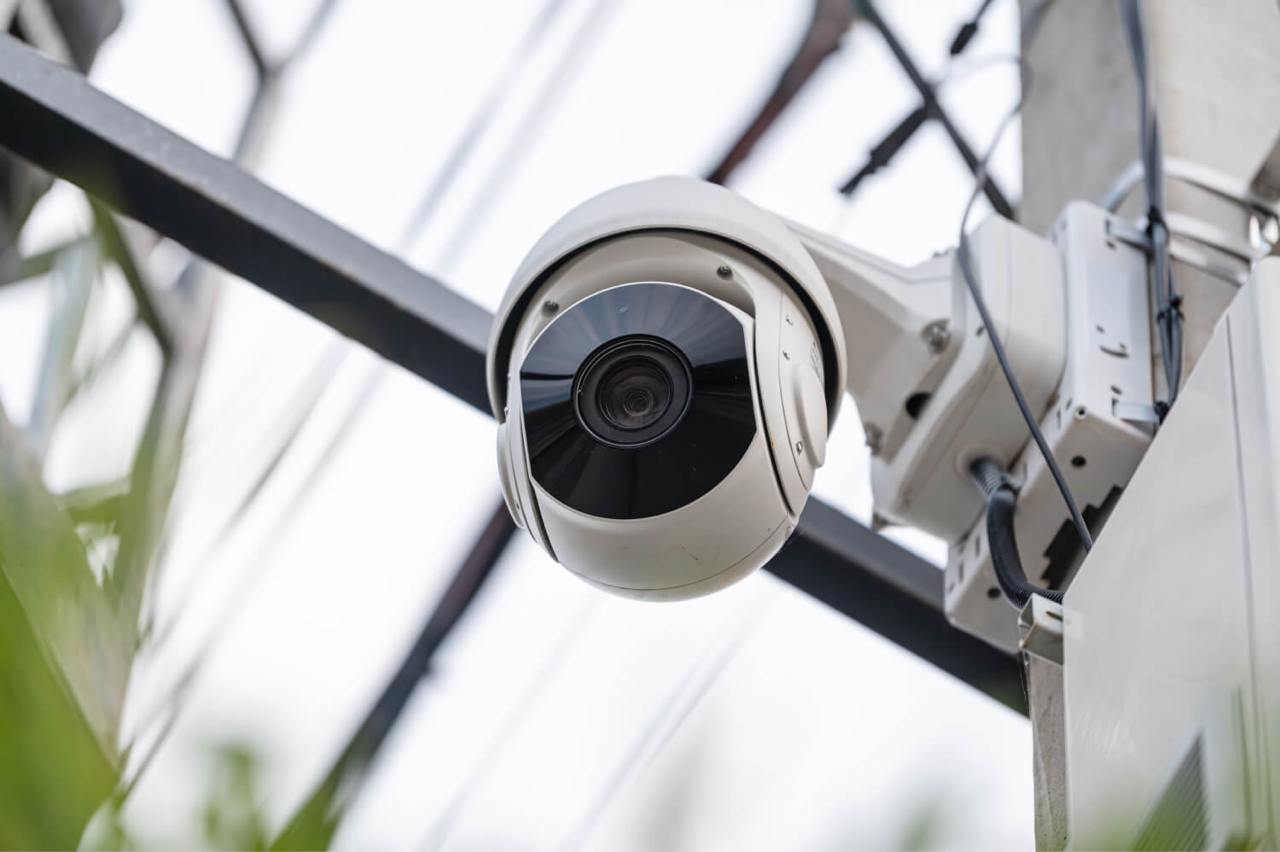 Технологические решения, апробированные в Сириусе, тиражируются по всей стране и получают награды 