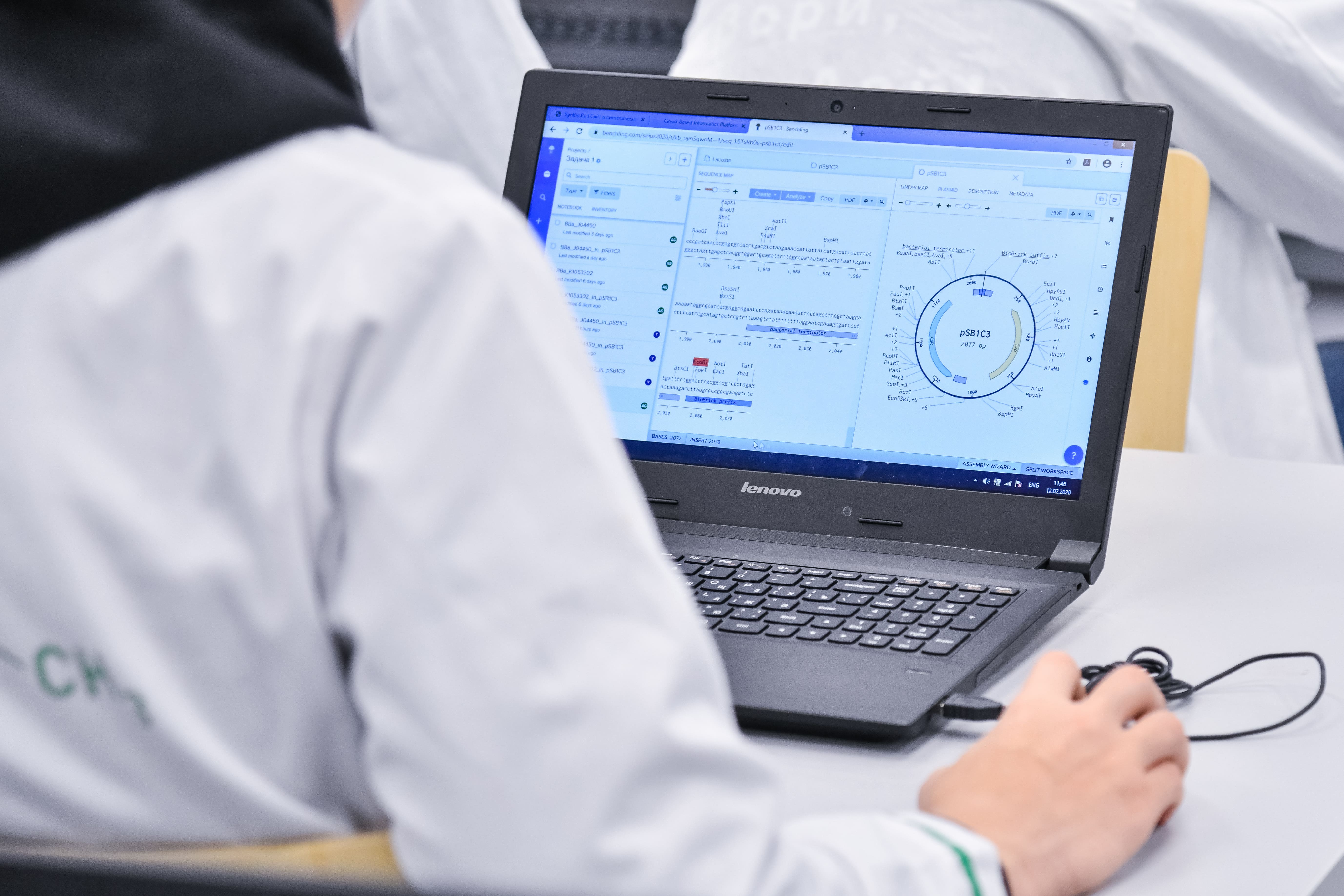 Разработка учёных Сириуса поможет быстрее тестировать новые препараты для лечения заболеваний мозга