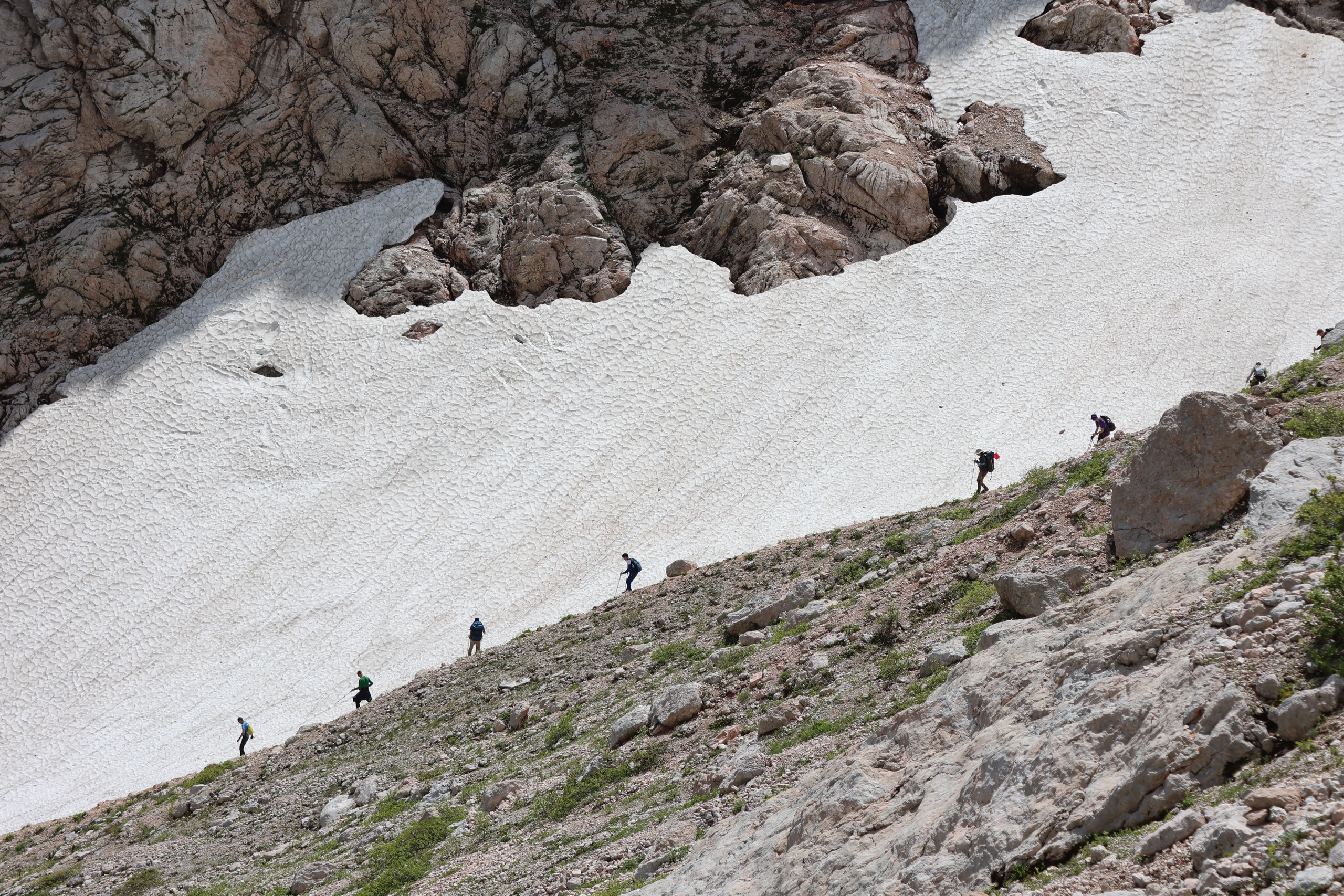 Учёные Сириуса оценили влияние пожаров на почвы Черноморского побережья