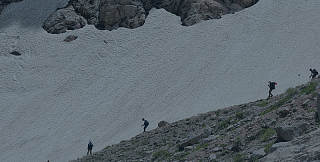 Учёные Сириуса оценили влияние пожаров на почвы Черноморского побережья