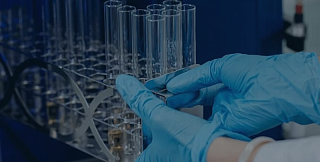 Компания из Сириуса создаёт пробиотик с вакцинным эффектом для ветеринарии